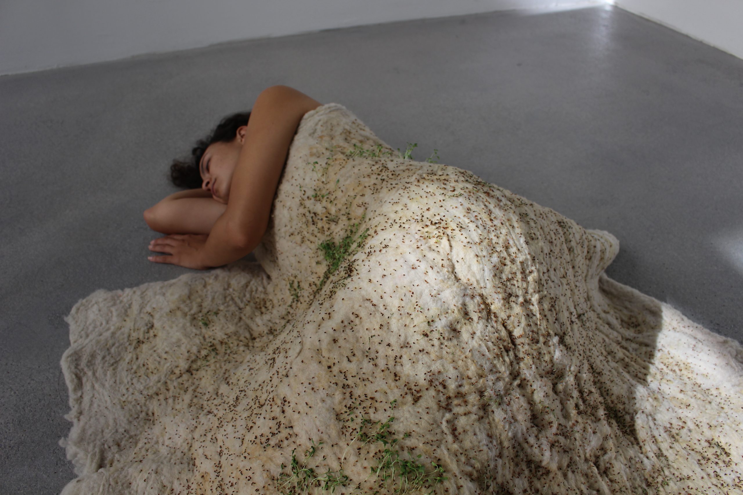 pogmahon.com | the art consulting company A COLLECTING DESIRE/PIACERE ...